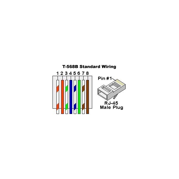 10FT Cat5E RJ45 Network LAN Ethernet UTP Cable Non-Boot Gold Copper Wire Yellow