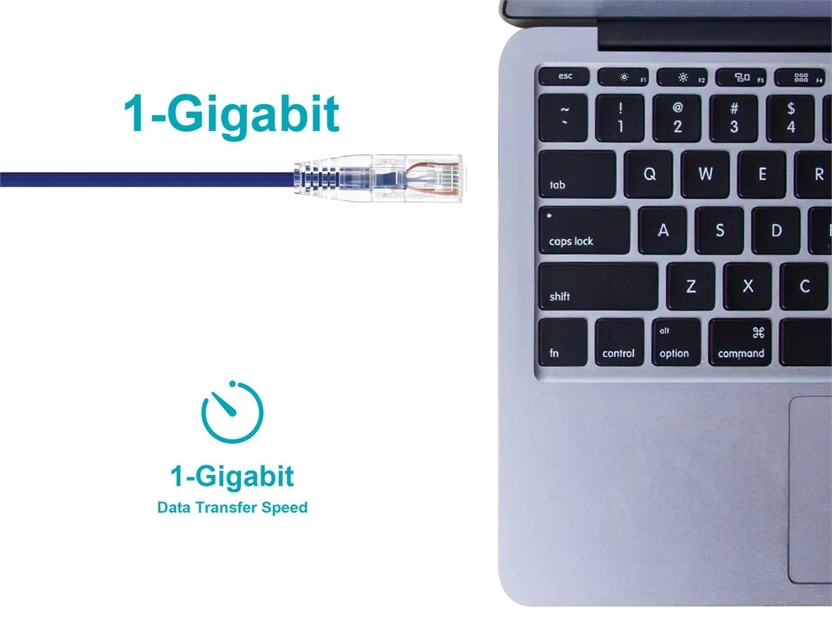 Monoprice Cat6 Ethernet Patch Cable – 0.5 feet – Purple | Snagless RJ45 Stranded