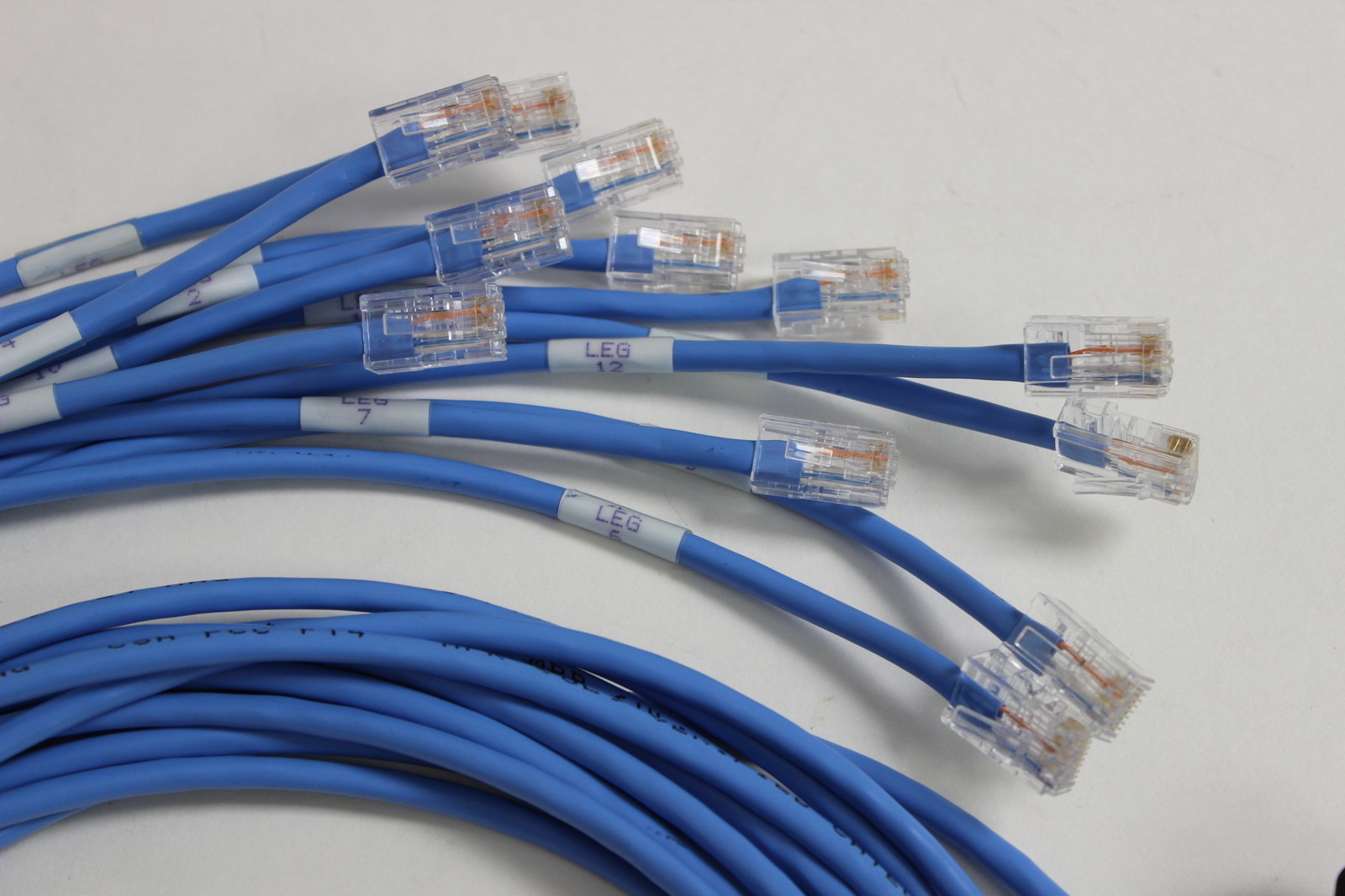 HYDRA CABLE 12 LEGGED RJ45 TO 50 PIN TELCO CONNECTOR 5 FOOT CABLE NEW 990034