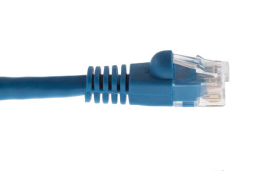 Ethernet Cat.5e UTP Patch Cable – Category 5e 2 ft 1 x RJ-45 – excess stock