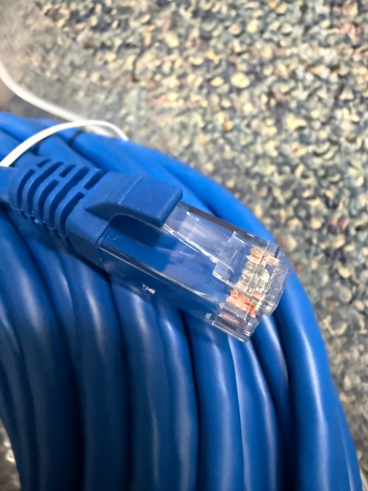 C2G 27147 100FT CAT6 Snagless Unshielded (UTP) Ethernet Network Patch Cable Blue