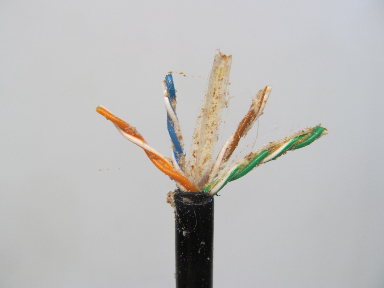 PAIGE ELECTRIC Cat6 800Ft Outdoor 23/4pr Direct Burial Cable Wire ROHS