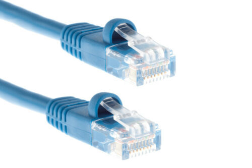 Ethernet Cat.5e UTP Patch Cable – Category 5e 2 ft 1 x RJ-45 – excess stock