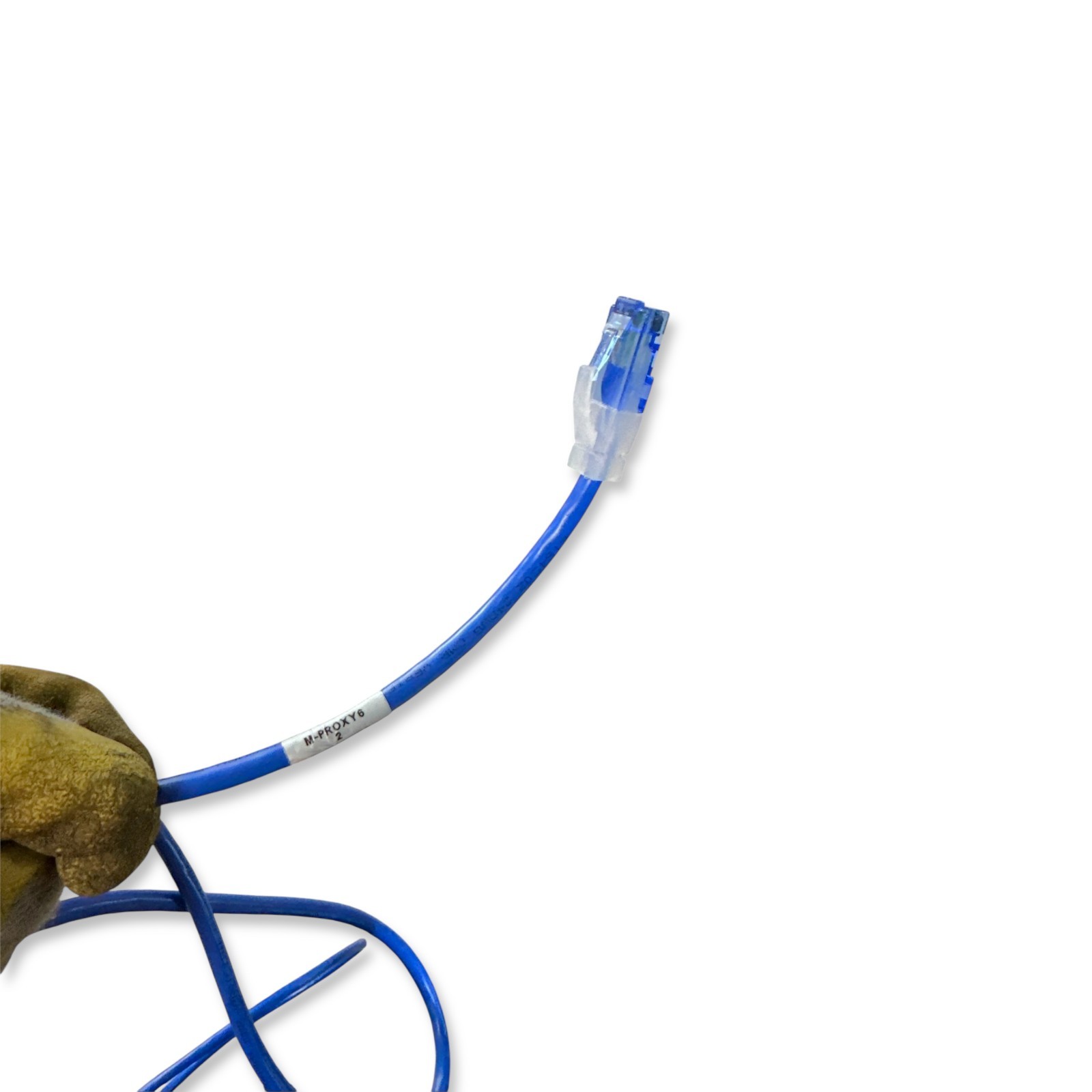Blue 5ft Cat6 Ethernet Patch Cable – 24AWG CMR Riser Rated – Snagless RJ45