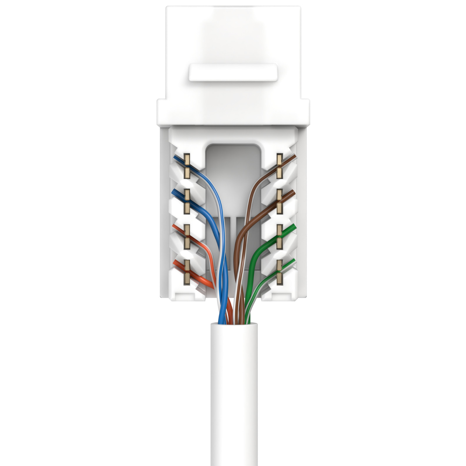 White Cat6 Keystone Jack 45 Degree Angled Network RJ45 110 Punch down Lan Lot