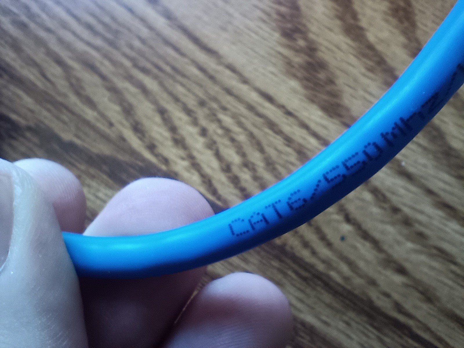 10FT CAT 6 Ethernet Cable – Blue – Brand Unknown – New Opened Package