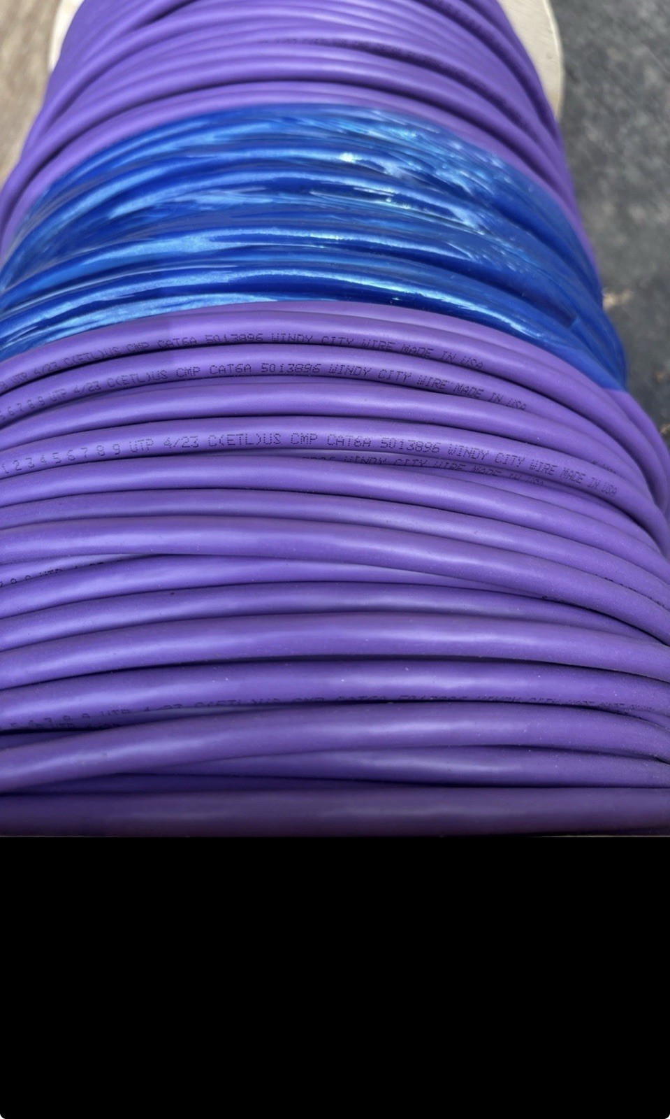 Windy City Wire 1000Ft Cat 6 Purple 23-4P UTP 550Mhz Solid Plenum