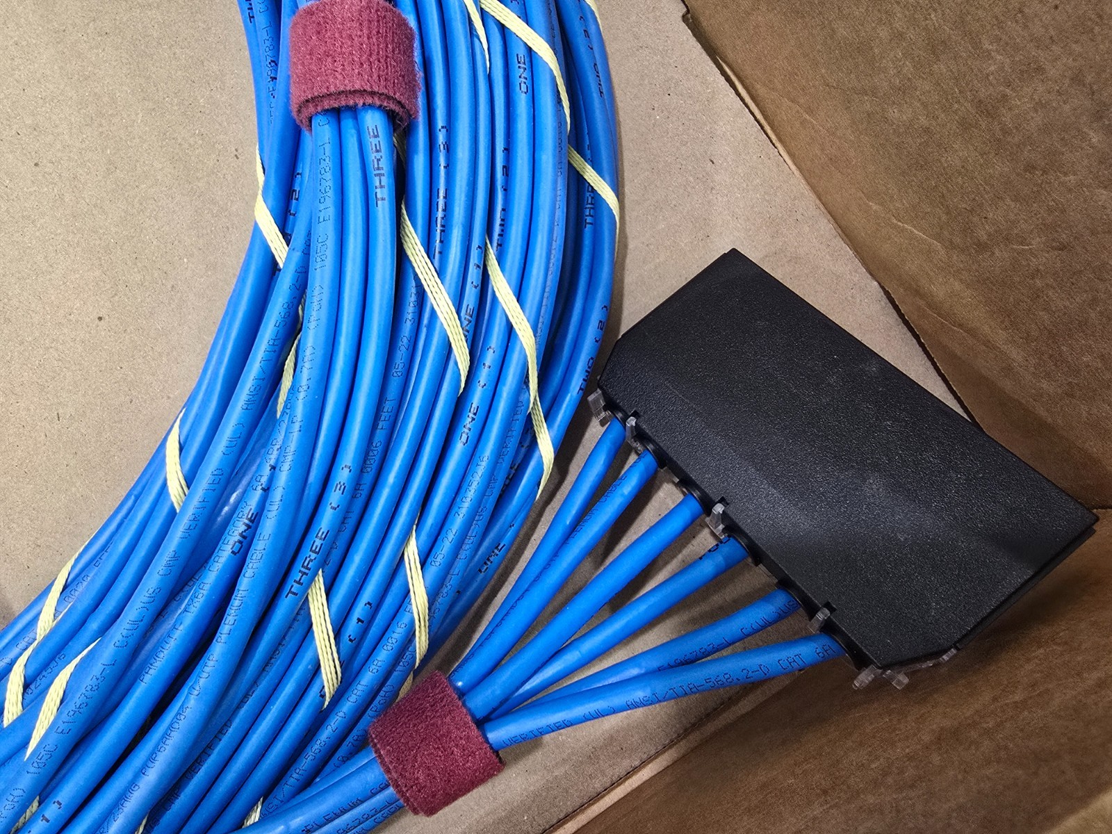 Panduit QuickNet Cat6A Copper Patch Cord 65 ft. MFR #: QZPBCCB0001F065 Cat 6A