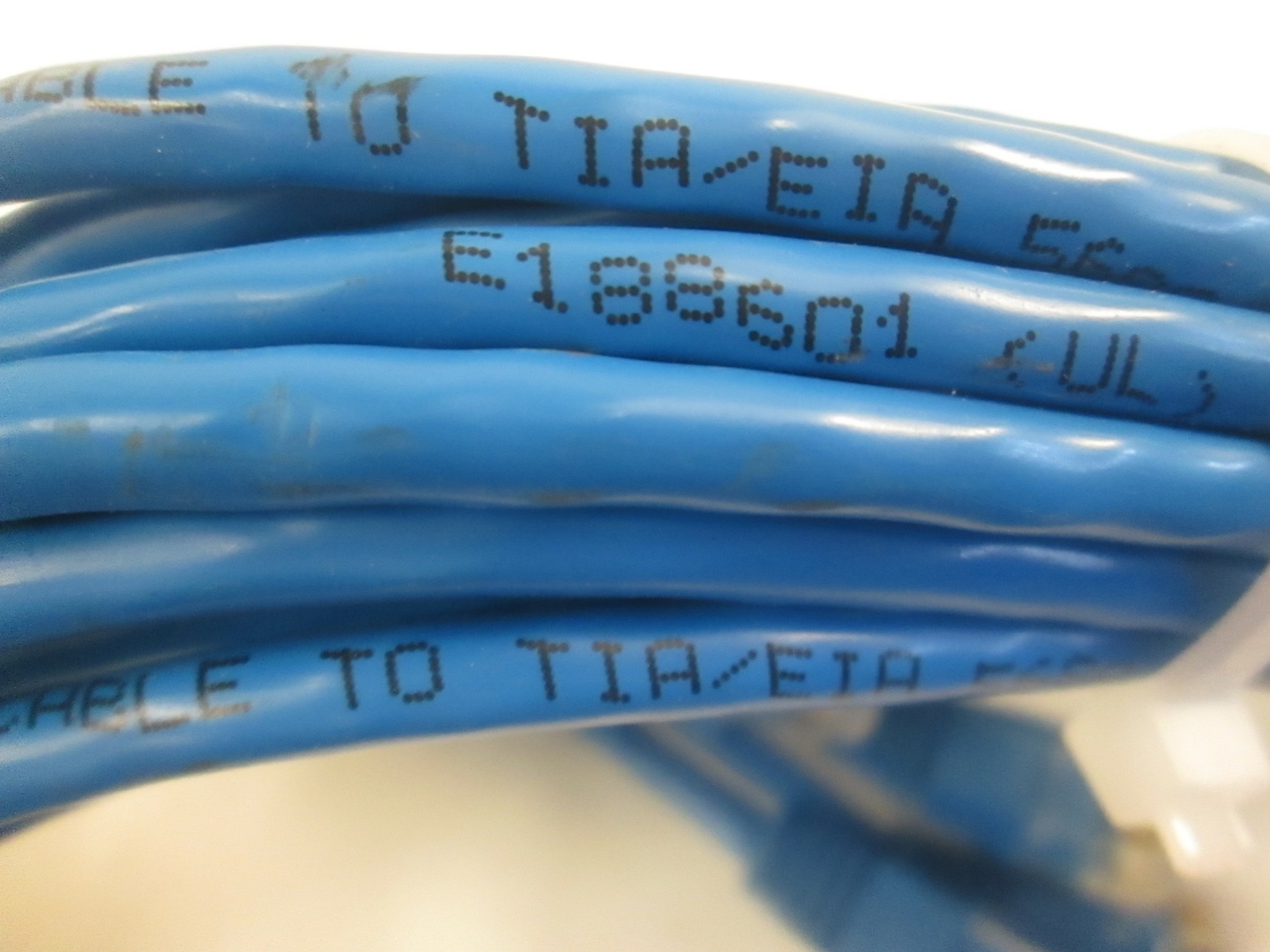 Ethernet Patch Cable To TIA/EIA, E188601, 1ft, Blue, Lot of 25