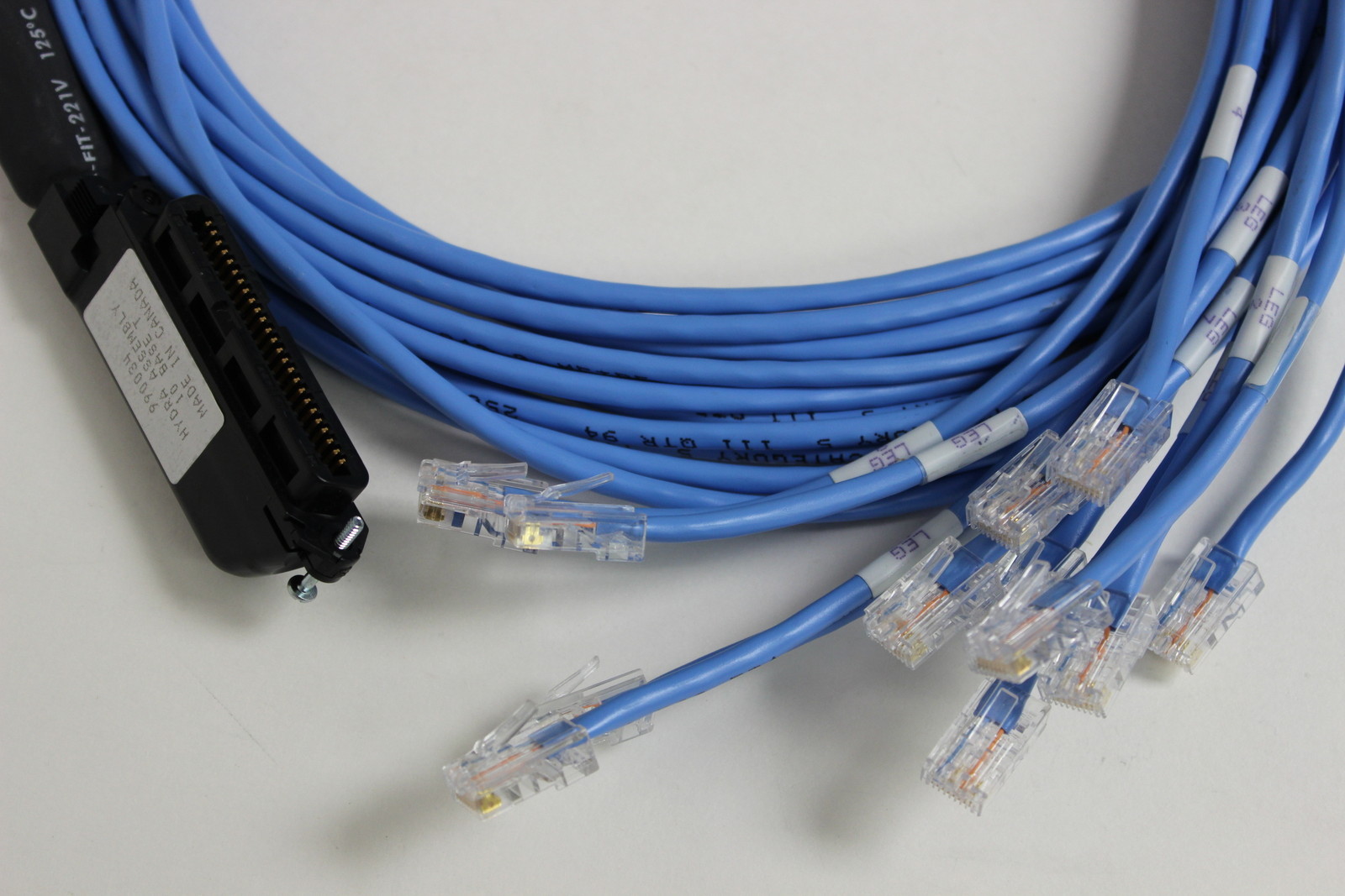 HYDRA CABLE 12 LEGGED RJ45 TO 50 PIN TELCO CONNECTOR 5 FOOT CABLE NEW 990034