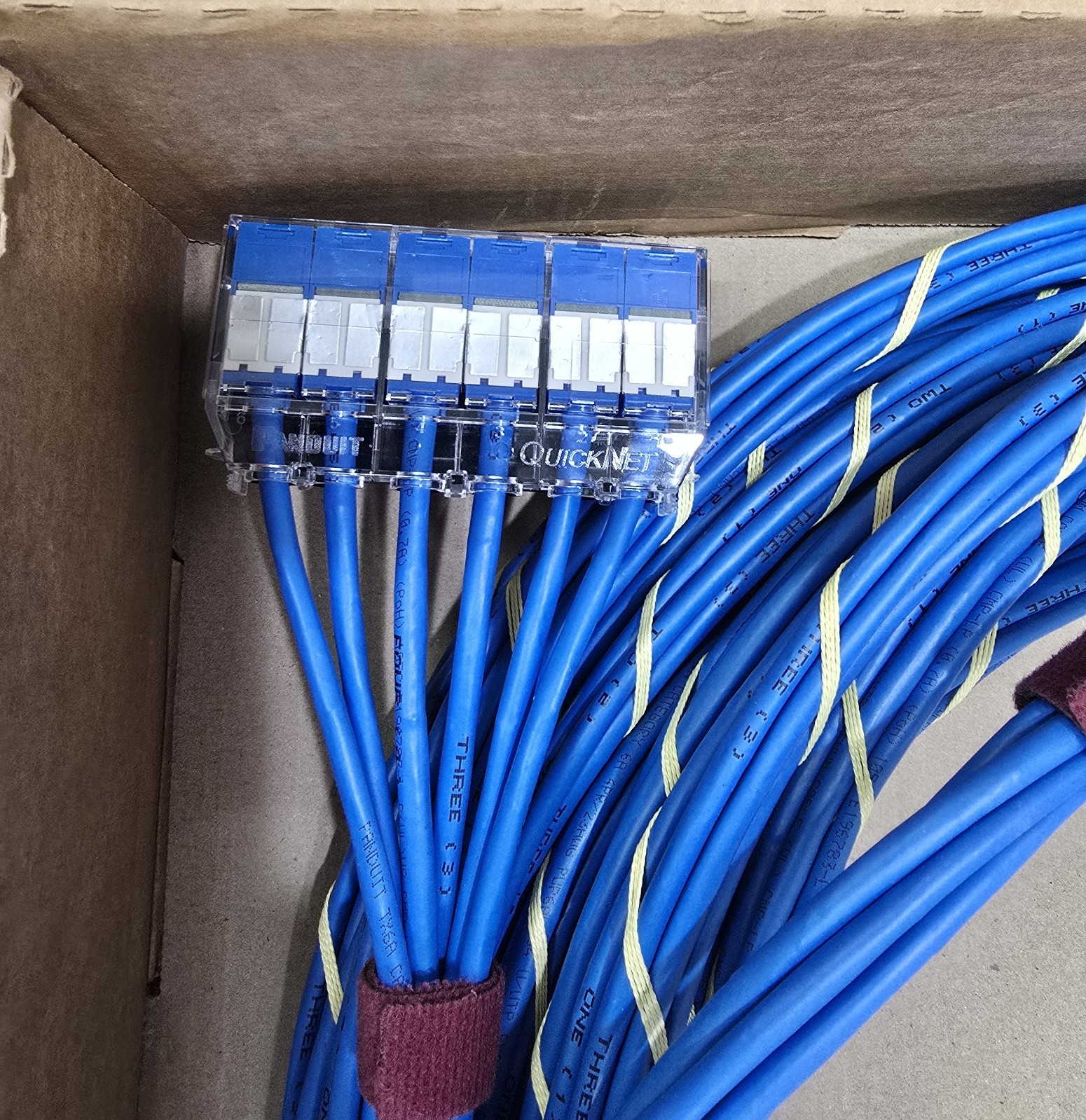 Panduit QuickNet Cat6A Copper Patch Cord 65 ft. MFR #: QZPBCCB0001F065 Cat 6A