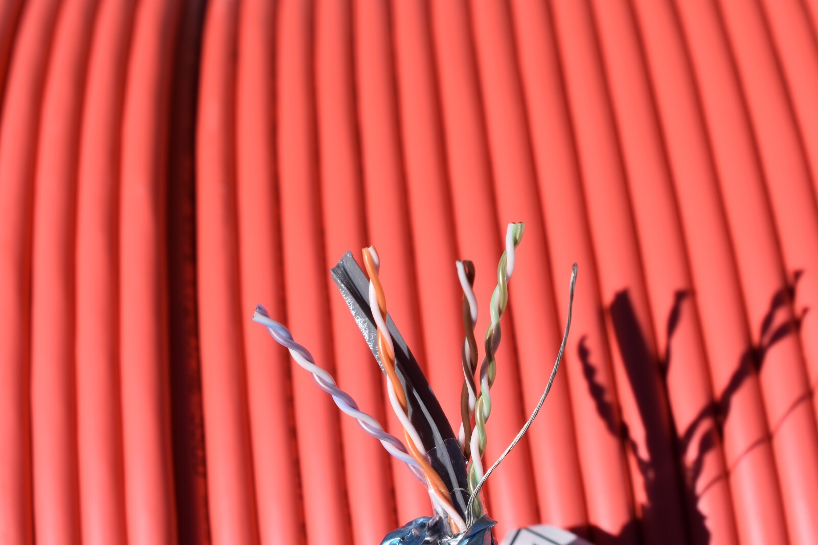 Black Box EVNSL0616A1000 Cat.6 STP Bulk Network Cable 1000ft – Red