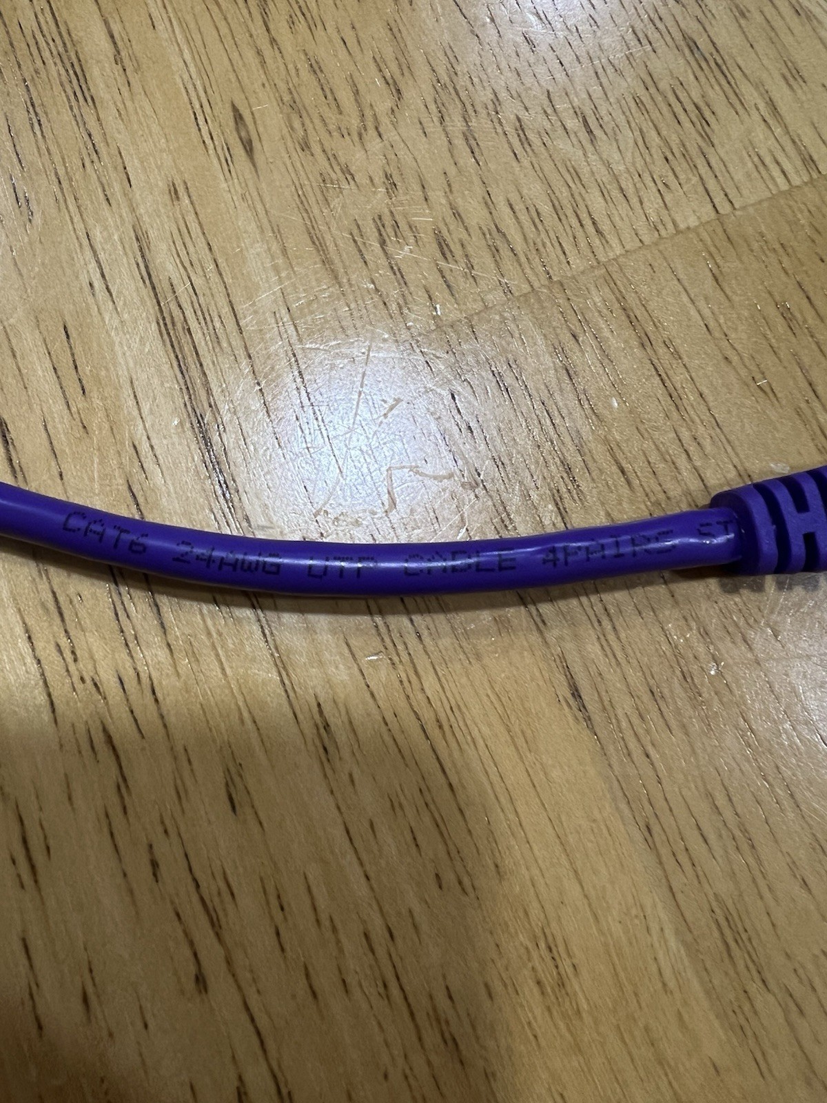 CAT6 24AWG UTP Patch Ethernet Cable 1.5’ Feet Purple