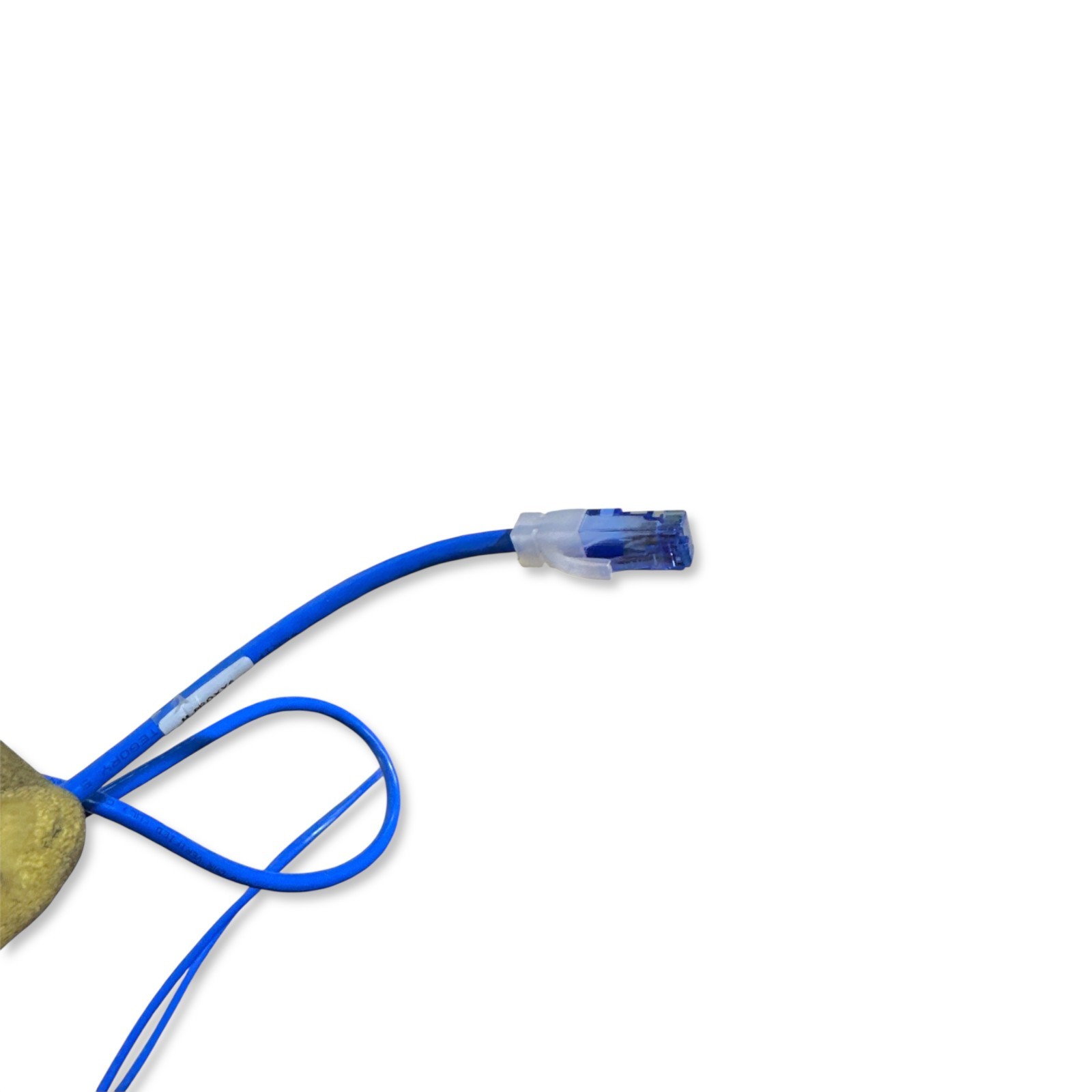 Blue 5ft Cat6 Ethernet Patch Cable – 24AWG CMR Riser Rated – Snagless RJ45