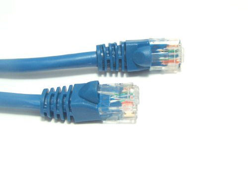 NEW 3 feet Cat 6 Molded UTP Snagless RJ45 Networking Patch CATAGORY Cable #518